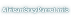 African Grey Parrot's Community
